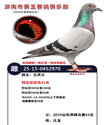 特比环双关31名