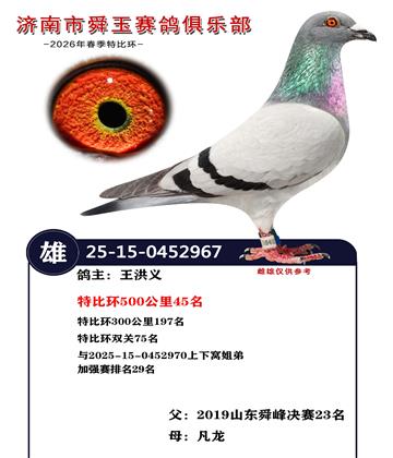 特比环500公里45名