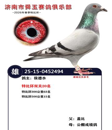 特比环500公里15名