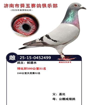 特比环500公里31名