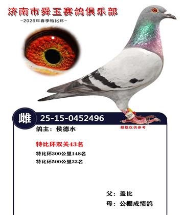 特比环500公里32名