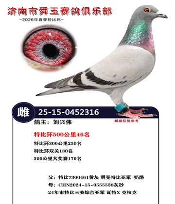 特比环500公里46名