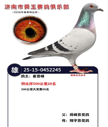 特比环500公里29名