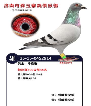 特比环500公里48名