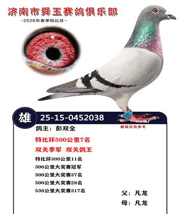 双关季军 双关鸽王