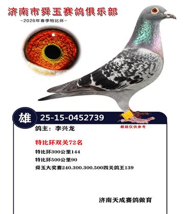 特比环双关72名