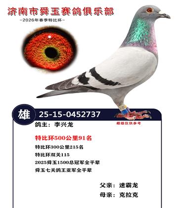 特比环500公里91名
