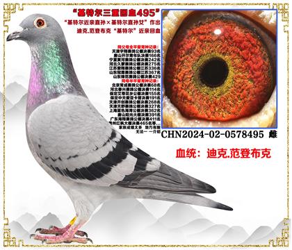 �Ͽ�.���ǲ��ˡ����ض�����ֱ������ض�ֱ��Ů�����ػ�Ѫ