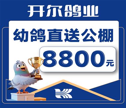 ������ҵ-�׸�ֱ�͹���-8800Ԫ
