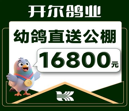 ������ҵ-�׸�ֱ�͹���-16800Ԫ