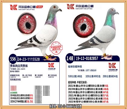 ��������ھ�ֱŮ.ƽ��������Ǿ���ʮ��.Ӯ������