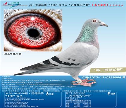�������˹���󱼡�ֱ�ӡ������޺�ȫƽ����
