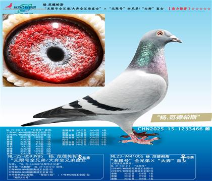 ��.������˹ �����޺�ȫ�ֵ�/��ȫ�ֵ�ֱŮ��x�����޺š�ȫ