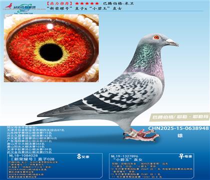 ���ڲ���-���� ������ҫ�š�ֱ��x��С����ֱŮ