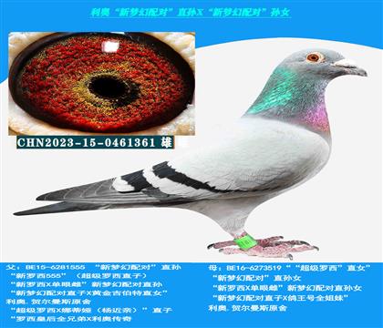 ���� �����λ����ֱ�X�����λ������Ů��