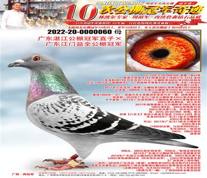 �㶫տ������ھ�ֱ�ӡ��㶫������ȫ����ھ�
