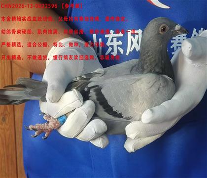 ������ھ�ֱŮ