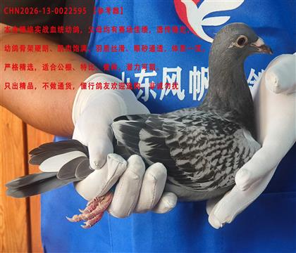 ����ֱŮ