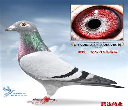 �ڴ�789