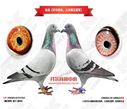 ���Կ����Ĺء����ظ����ھ�