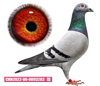 ������-�����޵�283