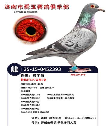 特比环500公里9名