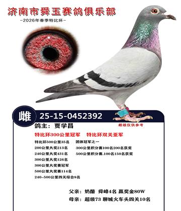 特比环双关亚军 特比环300公里冠军