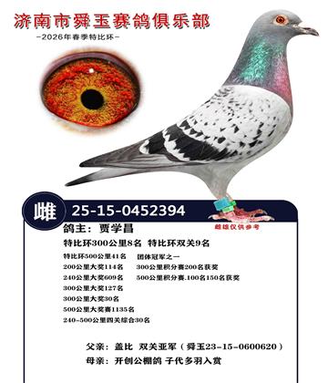 特比环双关9名