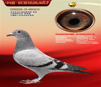 ���õ��Ǹ�������ǹھ�419X��˹���ڷ�ūֱŮ914