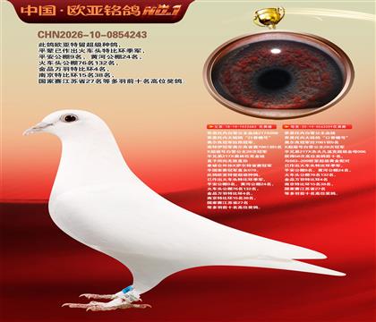 ��˹���ڰ�ѩ����683X209