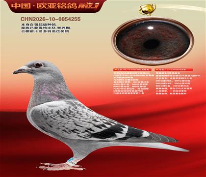 ��˼KBDB�ٶȹھ�639Xղɭ��ū914ֱŮ950