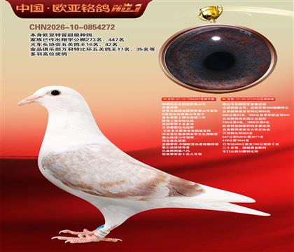 ��������ȫ���ھ�̩ɽ�Ŷ��ؽ���357X133