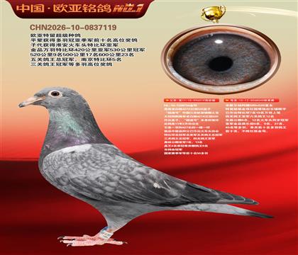 ղɭ427X520ֱ��919���ٺ�X��Ъ�����040