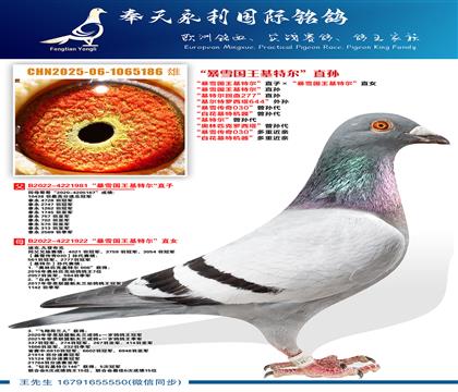 “暴雪国王基特尔”直孙“基特尔回血277”直孙 “基尔特罗西