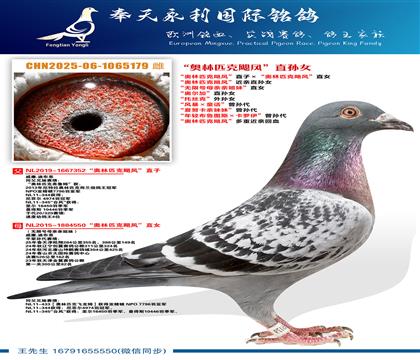 “奥林匹克飓风”直子ד奥林匹克飓风”直女 “奥林匹克飓风”