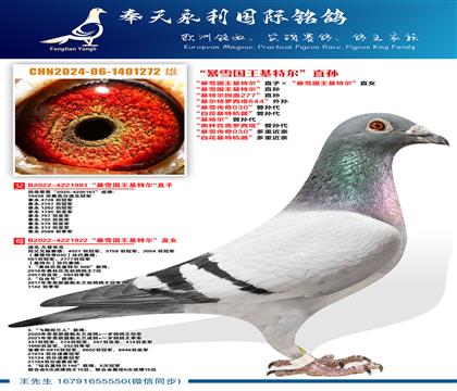 “暴雪国王基特尔”直子ד暴雪国王基特尔”直女 “暴雪国王基
