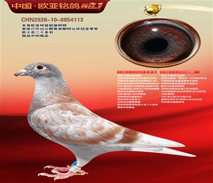 �Ͽ�.���ǲ���Ѫͳ���ض�233X260�������