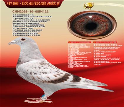 ��ǱȽ���888X��ǱȽ���999��������