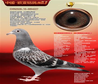NPOȫ�����Ǿ�515X����KBDB����17ֱŮ872