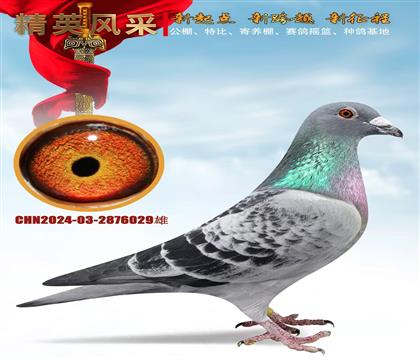 ǧ����� ������ʵսѪ��