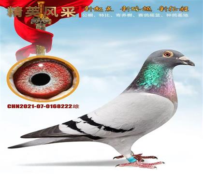 ������222���߼���