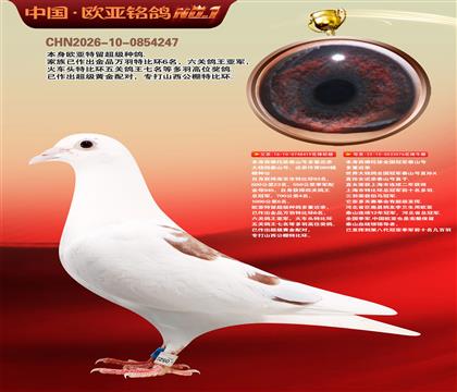 ��������ȫ���ھ�̩ɽ�Ŷ��ؽ���419X076