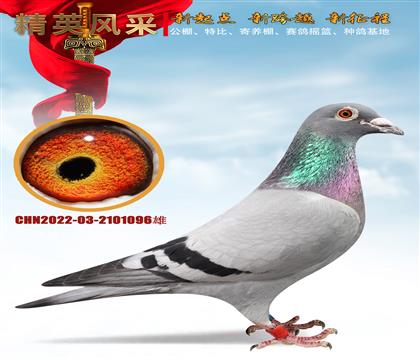28858�����635�������۴�