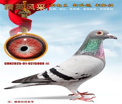 ��γɼ���ͬ�Ѹ���