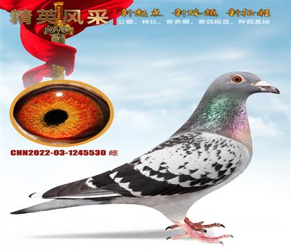 ����������񽱽�2W