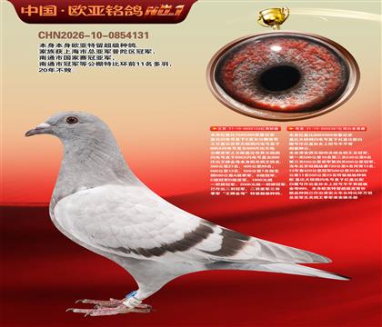 ��Ǳ� 126X387