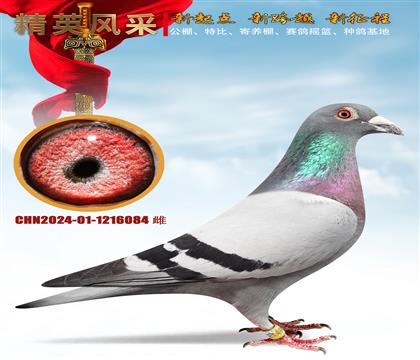 ����ǧ���������������20��γɼ�
