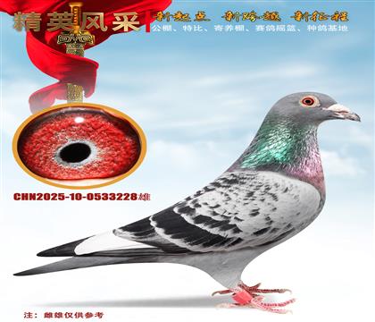 ���괺��400����35��