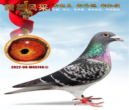 �������ʺ���վ236��