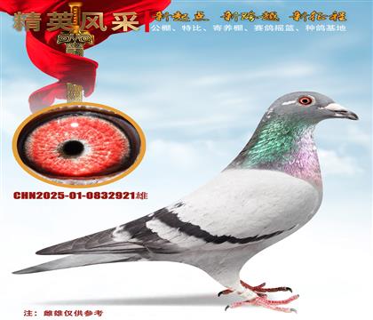 ����ƥ��003�����ض�006��Ѫ